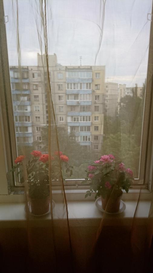 Comfortable Apartment On The River Bank 基輔 外观 照片