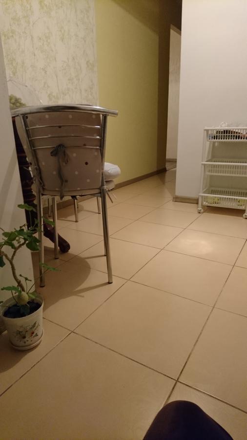 Comfortable Apartment On The River Bank 基輔 外观 照片