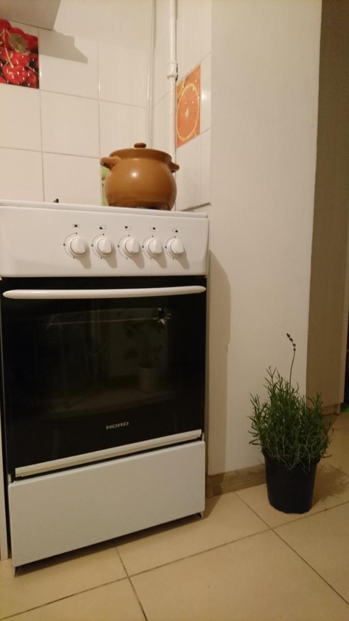 Comfortable Apartment On The River Bank 基輔 外观 照片
